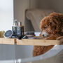 Luxurious Prebiotic Odour Control Dog Shampoo, thumbnail 2 of 4