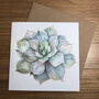 Set Of Four Botanical Art Floral Blank Cards, thumbnail 6 of 6