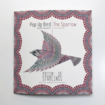 Pop Up Bird Decoration Kit, 10 of 12