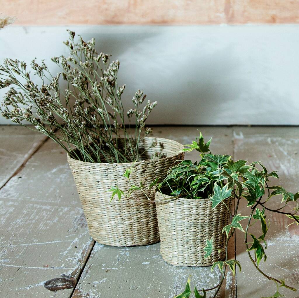 Small Woven Seagrass Planter By Lola & Alice