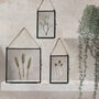 Antique Herbarium Frame: Small Natural Hill Flowers, thumbnail 2 of 7