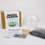 Water Garden Grow Kit, thumbnail 4 of 4