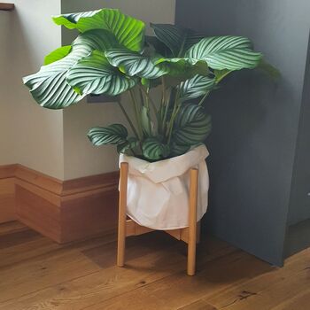 Ellon Extendable Bamboo Plant Pot Stand, 7 of 10
