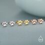 Sterling Silver Paw Print Flat Back Studs, thumbnail 2 of 11