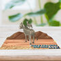 Pain In The Ass! Fun Fathers Day Card W 3D Pop Up Donkeys, thumbnail 4 of 11