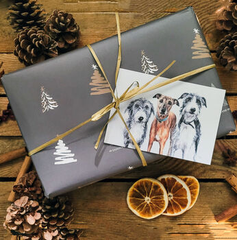 The Innocent Hound Christmas Gift Box For Dog, 5 of 5