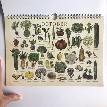 UK Seasonal Calendar, Dateless Fruit And Veg Calendar, 7 of 8