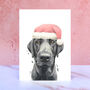 Black Labrador Santa Hat Pom Pom Christmas Card, thumbnail 1 of 2