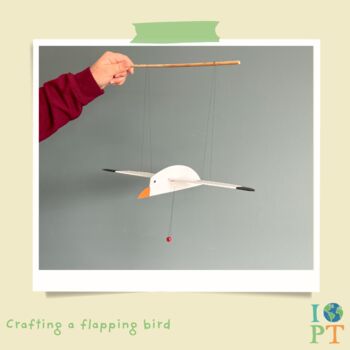 Children's Eco Activity Box: The Secret Life Of Birds, 5 of 11