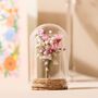Mini Dried Flower Glass Dome, thumbnail 1 of 8