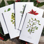 Christmas Botanical Note Card Set, thumbnail 4 of 5
