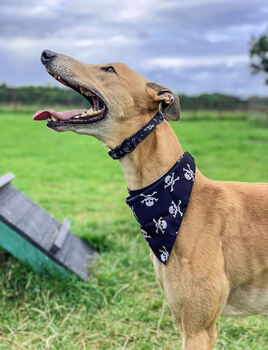 Black Skulls Dog Bandana, 2 of 2