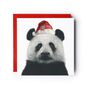 Cepheus The Panda Santa Hat Festive Christmas Card, thumbnail 1 of 4