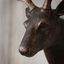 Decorative Stag Head, thumbnail 2 of 3