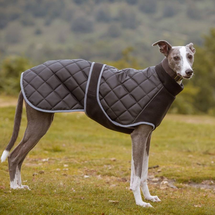 plush dog coat