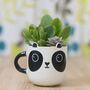 Panda Mug With Choices Of Plants, thumbnail 3 of 3