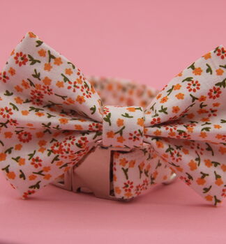 Orange Daisy Dog Bow Tie, 6 of 11