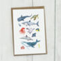 Sea Creature Greetings Card, thumbnail 2 of 2