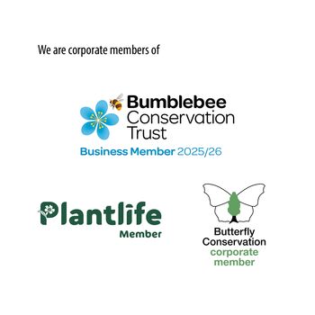 Bee And Butterfly Friendly Seeds Gift Duo Pack, 5 of 5