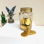 Money Box Jar With Chocolate Coins, thumbnail 4 of 8