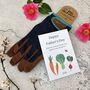 Gardening Gloves And Grow Your Own Veg Seed Gift, thumbnail 1 of 11