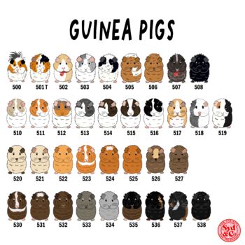 Personalised Guinea Pig Treat Jar And Treat Bag, 4 of 9