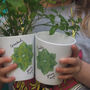 Grow Your Own Mint Plant Father's Day Gift, thumbnail 3 of 6