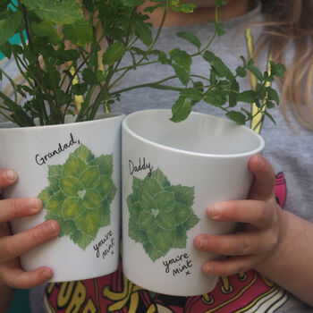 Grow Your Own Mint Plant Father's Day Gift, 3 of 6