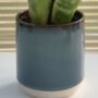 Glass Effect Natural Ceramic Planter / Plant Pot, thumbnail 3 of 4