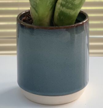 Glass Effect Natural Ceramic Planter / Plant Pot, 3 of 4
