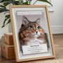 Personalised Pet Loss Cat Memorial Photo Print Wall Art, thumbnail 1 of 6