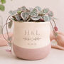Personalised Wedding Gift Plant Pot With Optional Plant, thumbnail 1 of 7