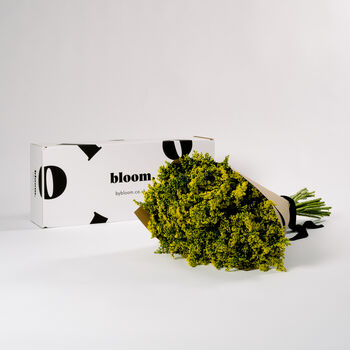 Golden Glory Yellow Solidago Fresh Flower Bouquet, 2 of 3