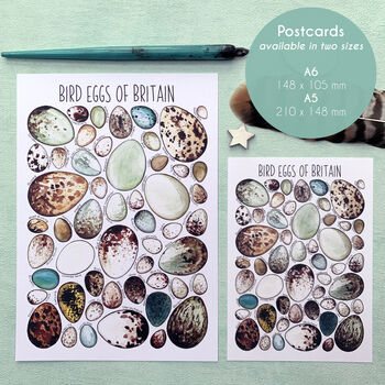 Bird Eggs Of Britain Illustrated Postcard, 2 of 11