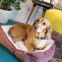 Luxury Soft Quilted Dog Bed, thumbnail 2 of 9