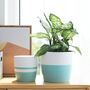 Pack Of Two Modern Minimalist Ceramic Plant Pot Indoor, thumbnail 3 of 4