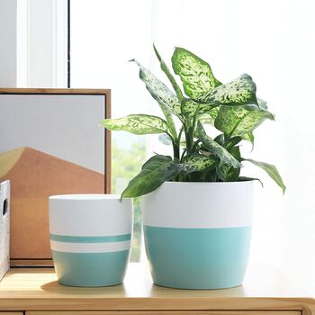 Pack Of Two Modern Minimalist Ceramic Plant Pot Indoor, 3 of 4