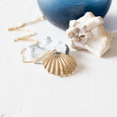 Gold Plated Seashell Necklace By Juju Treasures | notonthehighstreet.com
