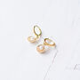 Gold Plated Shell Earrings, thumbnail 5 of 10