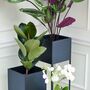 Square Metal Planter With Stand, thumbnail 9 of 9