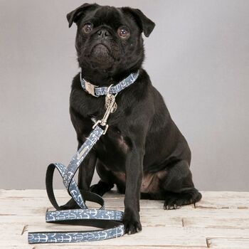 Salcombe Blue Nautical Collar And Lead Set, 6 of 7