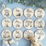 Pooh Bear Wooden Baby Milestone Discs Set Baby Gift, thumbnail 1 of 9