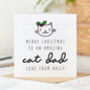 Amazing Cat Dad Personalised Christmas Card, thumbnail 1 of 2