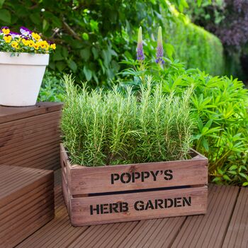 Personalised Wooden Planter Crates, Herb Crate, 2 of 3
