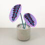 Small Purple Prayer Plant, thumbnail 1 of 4