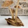 Hand Carved Shitake Wood Mushrooms On Driftwood Base, thumbnail 8 of 11