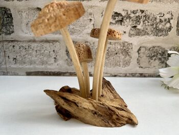 Hand Carved Shitake Wood Mushrooms On Driftwood Base, 8 of 11