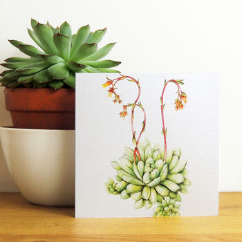Echeveria Greetings Card, 2 of 5