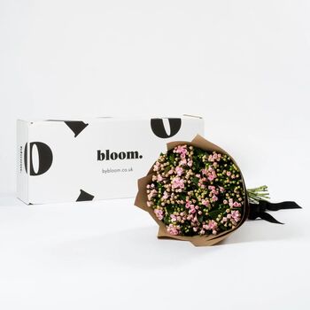 Ballet Slipper Pink Bouvardia Fresh Flower Bouquet, 2 of 3