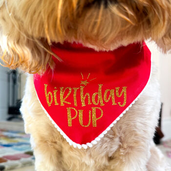 Gold Birthday Dog Bandana, 2 of 7